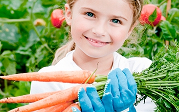 Akros • Alimentación sana