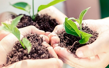 Akros • Medioambiente