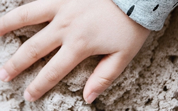 Akros • Los sentidos