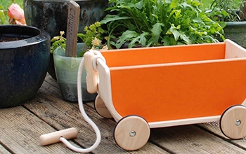 Bebés • Juguetes arrastre