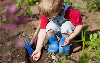Aire libre • Juguetes jardín