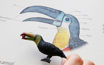 Libros • Inventarios y atlas