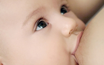 Libros • Crianza respetuosa