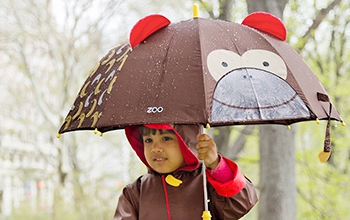 Accesorios • Paraguas