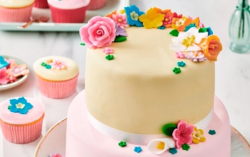 Fondant Pastry Colours