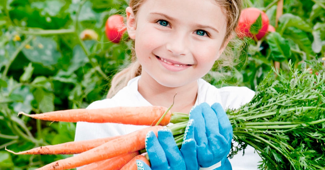 Akros • Alimentación sana