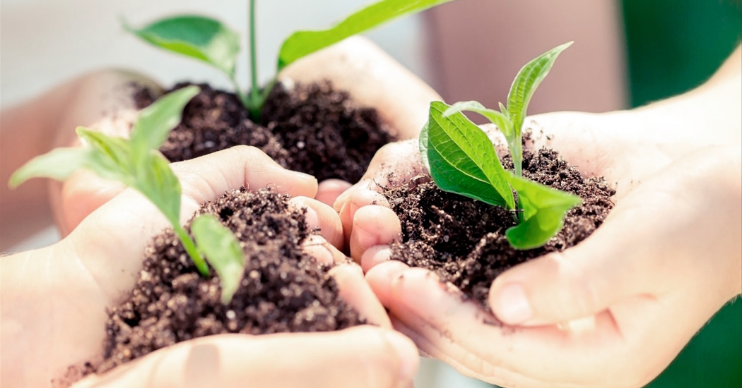 Akros • Medioambiente