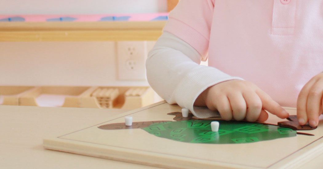 Montessori • Botánica-Zoología