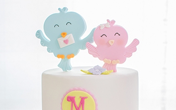 Fondant Renshaw Pro