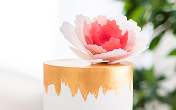Fondant Credipaste