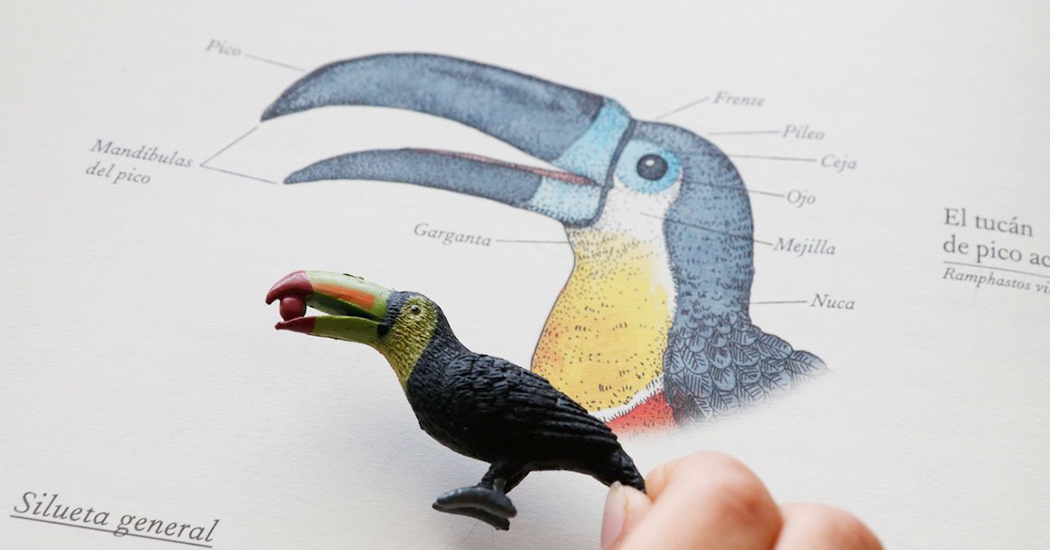 Libros • Inventarios y atlas