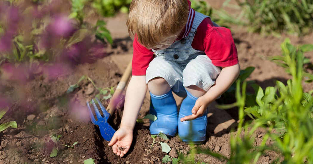 Aire libre • Juguetes jardín