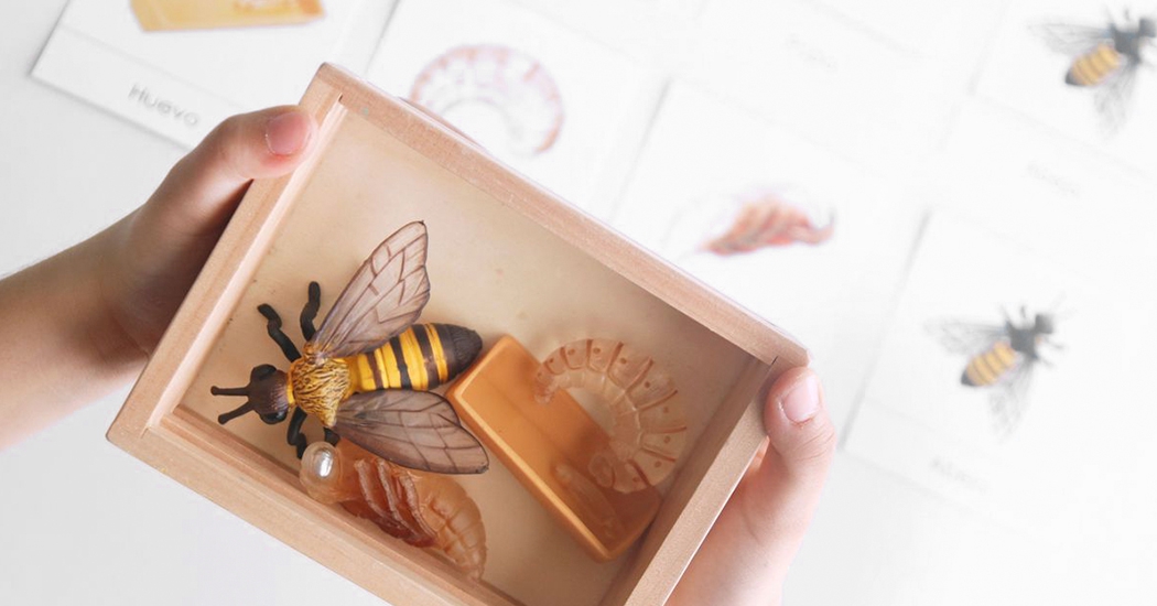 Simbólico • Miniaturas