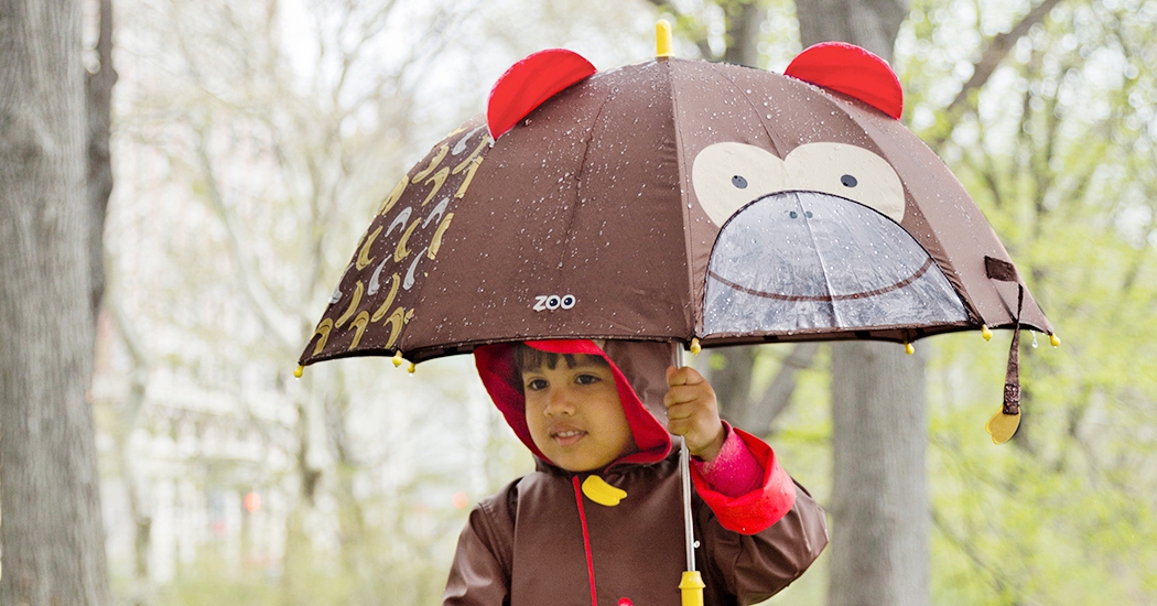 Accesorios • Paraguas