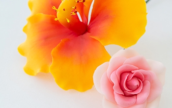Pasta de flores