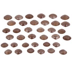 Conchas ecológicas táctiles y sensoriales (36) - EDX Education