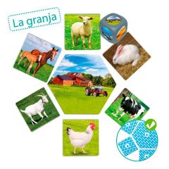 Juego de asociación: De dónde vienen los animales - Akros