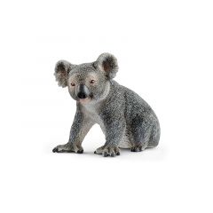 Koala macho - Schleich