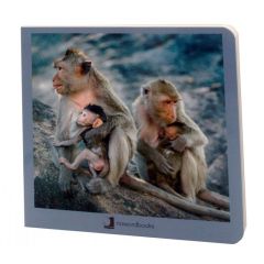 Libro de fotografías animales en familia Volumen 2 - Nowordbooks