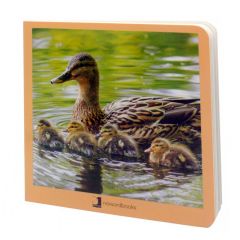 Libro de fotografías animales en familia Volumen 1 - Nowordbooks