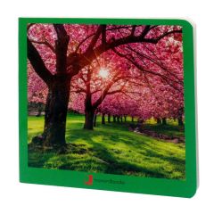 Libro de fotografías primavera - Nowordbooks