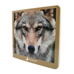 Libro de fotografías animales salvajes Volumen 2 - Nowordbooks