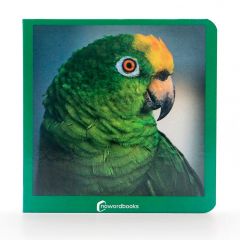 Libro de fotografías Verde - Nowordbooks