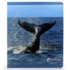 Libro grande de fotografías Animales del Mar - Nowordbooks