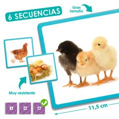 Maxi-Secuencias naturaleza - Akros