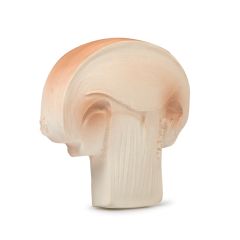 Mordedor y juguete de baño ecológico champiñón - Oli&Carol