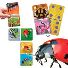 Natudomino Insectos - Akros