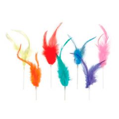 Pluma pequeña 12 cm