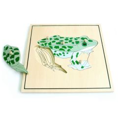 Puzle de madera rana esqueleto - Montessori