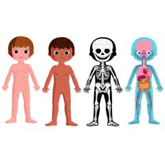 Puzles cuerpo humano 225 piezas - Janod