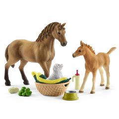 Set de cuidado de crías de Horse Club - Schleich