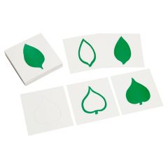 Tarjetas de hojas para el gabinete botánico de 24 inserciones - Montessori