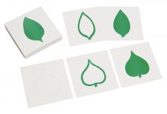 Tarjetas de hojas para el gabinete botánico de 18 inserciones - Montessori