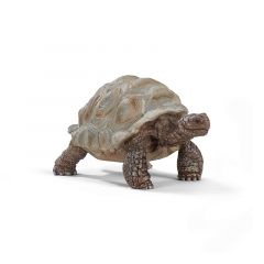 Tortuga - Schleich
