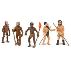 Ciclo evolución del ser humano - Safari