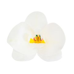Flores de oblea orquídeas blancas 8 cm (10) - Sin gluten - Dekora