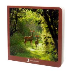 Libro de fotografías animales del bosque - Nowordbooks