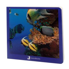 Libro de fotografías animales marinos - Nowordbooks