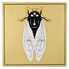 Puzle de madera mosca - Montessori