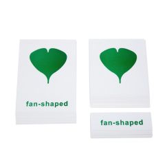 Tarjetas de nomenclaturas para el gabinete botánico - Montessori